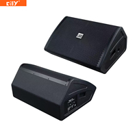 TM-12 TM-15 Haut-parleur de scène professionnel Line Array 12 pouces 500W / 15 pouces 600W pour Concerts, Spectacles, Mariages, Bars, Clubs