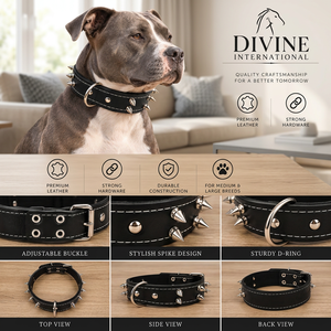 Fabricant de colliers pour chiens en cuir véritable de qualité supérieure et fournisseur en gros de colliers pour animaux de compagnie de Divine International - Product Image 1