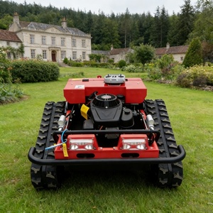 Tagliaerba Cingolato Telecomandato Industriale e Fai-da-te ad Alta Efficienza per il Taglio di Erbacce e Erba su Terreni Agricoli e Non Coltivati - Product Image 4