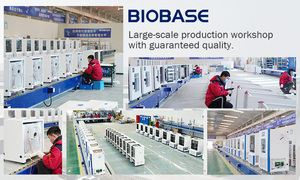 ตู้บ่มเพาะเชื้อ BIOBASE รุ่น BJPX-M150N ความจุ 150 ลิตร หน้าจอ LCD ผลิตจากสแตนเลส SUS304 สำหรับห้องปฏิบัติการ - Product Image 5