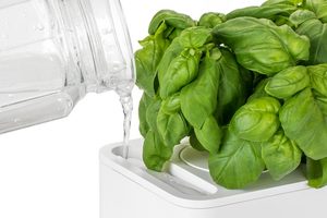 Meilleure vente 3 kit d'assaisonnement pour petit steak Smart Garden avec dosettes de plantes kit d'herbes système hydroponique pour <span class=keywords><strong>potager</strong></span> - Product Image 2