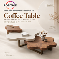Ensemble de tables basses en forme de nuage, design irrégulier, style moderne du milieu du siècle, mobilier minimaliste pour salon, OEM ODM, vente en gros