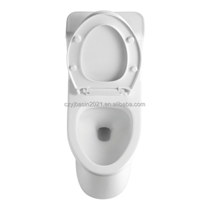 Cupc Certificate Factory Direct Round Commode Washdown <strong>Toilet</strong> Water Closet Ceramic One Piece <strong>Toilet</strong> for Bathroom - Product Image 3