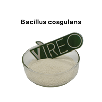 100 milliards d'UFC/g de Bacillus Coagulans de qualité alimentaire pour volailles et bétail – Améliore la santé intestinale – Probiotiques Bacillus Coagulans