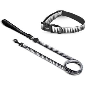 Conjunto de correa para <span class=keywords><strong>Collar</strong></span> de perro con diseño personalizado, hebilla de <span class=keywords><strong>Metal</strong></span> para entrenamiento, venta al por mayor de fábrica, Oem - Product Image 1