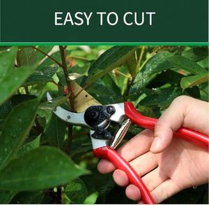 Sécateur de jardinage professionnel pour l'entretien des arbres fruitiers et des fleurs, cisaille robuste pour branches, lames ergonomiques - Product Image 2