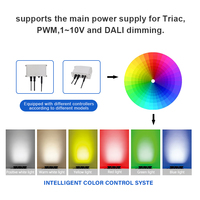 Litecent 8W 24W IP66 Projecteur mural LED avec downlight COB orientable, contrôle DMX512, CRI90 pour usage hôtelier