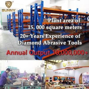 최고 가격 10 인치 콘크리트 그라인딩 플레이트 250 mm 20 세그먼트 바닥 콘크리트 용 다이아몬드 광택 휠 - Product Image 5