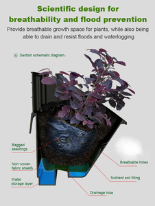 Уникальный пластмассовый горшок для смайликов и садовых растений от производителя, картонная упаковка - Product Image 3