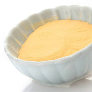 हॉट सेलिंग पपीता फल पाउडर निकालने/पपीता एंजाइम पाउडर - Product Image 5