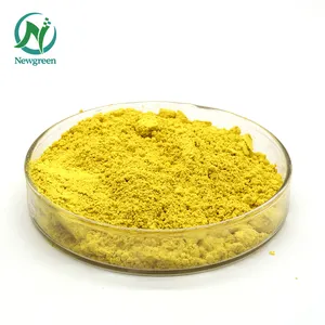 Newgreen cung cấp tinh khiết natrual thực vật 98% quercetin bột