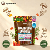 Bonbons Gommeux aux Champignons Chaga et Queue de Dinde en Gros, Double Extrait de Corps Fruité, Beta Glucane, Naturel, Améliore l'Immunité, Marque Privée
