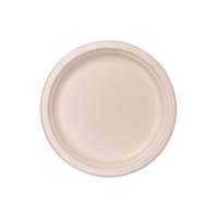 Assiette jetable de 10 pouces en bagasse naturelle, écologique, biodégradable, résistante à l'huile et à l'eau, compatible micro-ondes et réfrigérateur, pour le camping