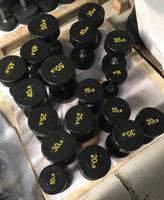 Peralatan Kebugaran Baru Dilapisi CPU Dumbbell Bulat untuk Klub Senam