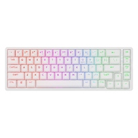 Compact 65 Percent Mechanical Gaming Keyboard 68 Keys RGB Hot Swap Gasket Kailh Red Switch Mechanical Keyboard