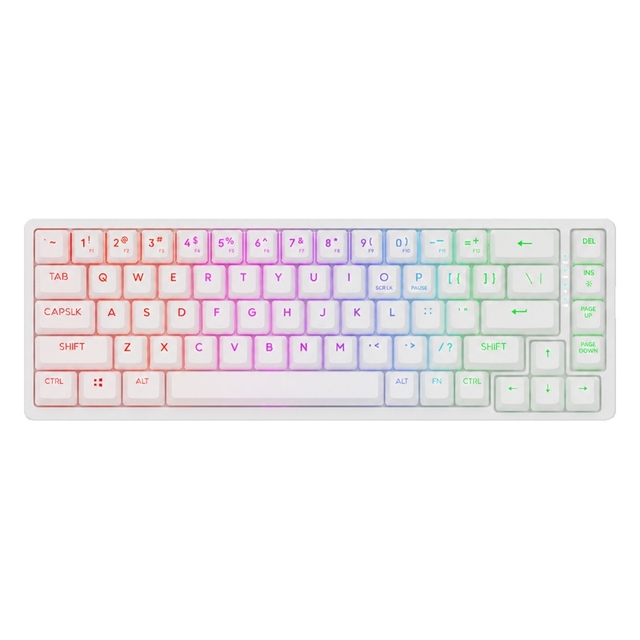 Compact 65 Percent Mechanical Gaming Keyboard 68 Keys RGB Hot Swap Gasket Kailh Red Switch Mechanical Keyboard
