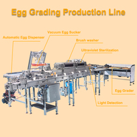 Ligne de production entièrement automatique pour œufs pasteurisés et transformation de liquide d'œuf