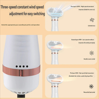 Brosse automatique rechargeable autonettoyante pour chat et animal de compagnie, outil rapide d'élimination des poils, pulvérisation de brume, massage, 3 vitesses, séchage à flux d'air constant