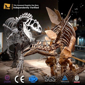 Increíble Esqueleto de Dinosaurio de Tamaño Real de la Serie V Fighting Dinosaurs - Product Image 3