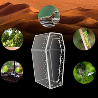 Boîte d'affichage de bureau d'alimentation pour animaux de compagnie d'escalade en acrylique transparent boîte d'insectes d'araignée magnétique forte pour animaux de compagnie avec trous de ventilation