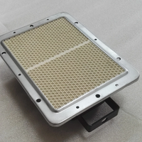 Brûleur infrarouge à haute efficacité avec plaque en céramique en nid d'abeille antirouille en émail gaz naturel/GPL pour grilles de Shawarma turques