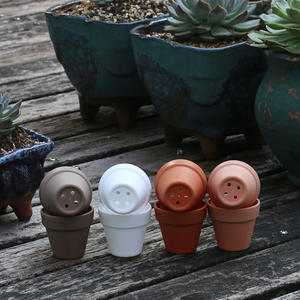 Pot à succulentes en plastique épaissi HY7, profondeur 5,4 cm, pour semis de <span class=keywords><strong>Lithops</strong></span>, cactus et Conophytum, idéal pour la plantation en pépinière - Product Image 5