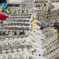 Machine à filets en plastique pour l'emballage de l'ail et des fruits