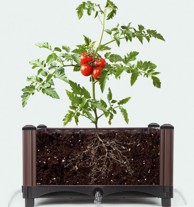 Indoor & Outdoor Plastic Vegetable & Flower Planter Box with Drainage Tray - View 5