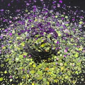 Paillettes caméléon en polyester de qualité cosmétique, flocons pour artisanat cadeaux, 4 pièces - Product Image 1