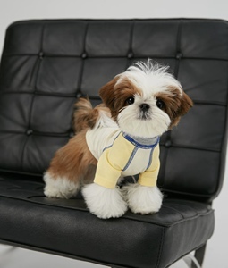 Camiseta para Mascotas 100% Algodón Suave, Transpirable y Cómoda para Uso Diario en Perros y Gatos - Product Image 2
