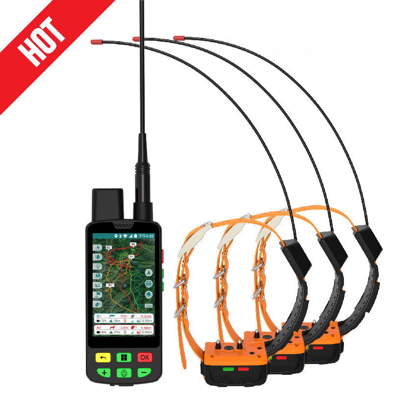 Ensemble Orange 1 Tête + 3 Colliers