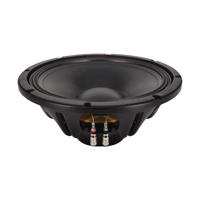 NR Caisson de basses passif 12 pouces en néodyme avec bobine vocale de 3 pouces, 8 ohms, pour systèmes audio intérieurs/extérieurs, haut-parleur de renforcement des basses