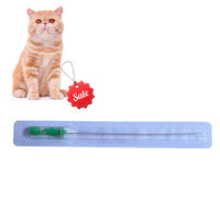 Cathéter pour chat avec stylet taille 2.5fr/3fr/4fr Cathéter urinaire félin Tube d'urine Tom Cat pour vétérinaire