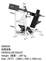 Équipement de fitness commercial pour salle de sport, machine à squats pendulaires en acier inoxydable pour la musculation et l'entraînement des jambes