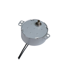 AC 110V <span class=keywords><strong>Micro</strong></span> <span class=keywords><strong>Motor</strong></span> động cơ đồng bộ trứng Turner động cơ - Product Image 2