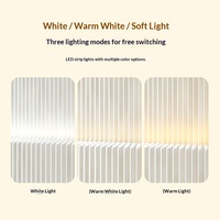 Cloison de séparation en papier portable lumineuse avec rangement pour librairie, commerce de détail, bar – Écran de pièce modulaire réglable en nid d'abeille
