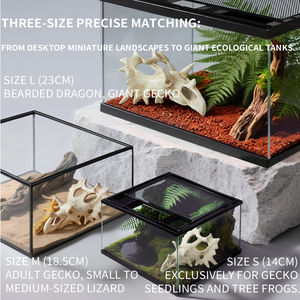 Adorno <span class=keywords><strong>de</strong></span> Cráneo <span class=keywords><strong>de</strong></span> Triceratops CLEEN, Decoración <span class=keywords><strong>de</strong></span> Resina para Terrario, <span class=keywords><strong>Esqueleto</strong></span> <span class=keywords><strong>de</strong></span> Dinosaurio Realista, Escondite para Lagartos y Serpientes - Product Image 5