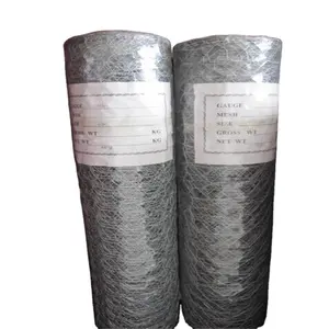 Hot Sale Hot Dip Galvanizado Iron Wire Mesh esgrima aves de capoeira Rede Hexagonal Chicken gaiola Wire Mesh Roll