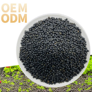 <span class=keywords><strong>Sabbia</strong></span> Nera Personalizzabile per Aquascaping, Piantumazione di Erbe e Allevamento di Gamberetti - Product Image 1