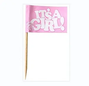 It's Girl stuzzicadenti Flag Pack Cocktail Sticks For Birth welcome Cake party fornitore