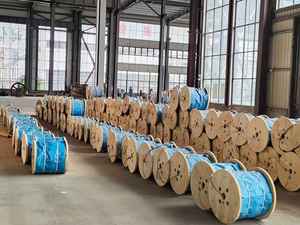 Cavo in Acciaio Zincato 7*19 da 3mm 4mm 5mm 6mm per Sollevamento e Trazione - Product Image 6