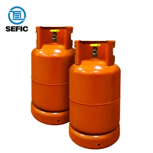 Hot selling fast delivery lpg cylinders in pakistan 12.5kg LPG Gas Cylinder price