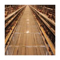 Design moderne Cage de batterie automatique de type H pour poules pondeuses Cage pour animaux d'élevage de volaille en nouvel état