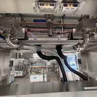 Machine de remplissage à double tête/deux têtes de type traçant pour liquides à haute viscosité, machine de remplissage de pâtes à double tête