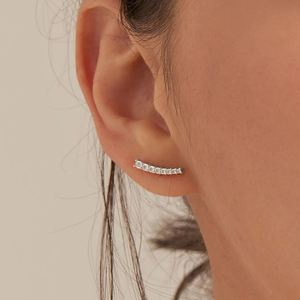 CANNER Prix de Gros Boucles d'Oreilles Plaqué Or 14k 18k Bijoux Argent 925 Zircon Pavé Longues Boucles d'Oreilles Clous pour Femme - Product Image 6