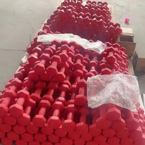 مجموعة الدمبل الرياضية المصنوعة من الحديد الزهر الملونة للسيدات المستخدمة من الفينيل مجموعة الدمبل المخصصة للاستخدام المنزلي في الصالة الرياضية - Product Image 6