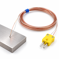 Sonde de température ultra-fine de type T, thermocouple de type K, longueur de sonde 0,5 mm, matériau PTFE, indice de protection IP65, OEM