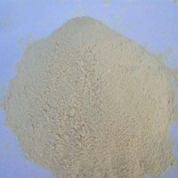 Vente en gros et au détail de la gomme xanthane de qualité alimentaire Fufeng, épaississant Hansheng Gum, gomme xanthane