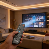 Control Remoto por Voz Personalizado, Receptor Inalámbrico, Controlador de Receptor de Audio, Smart TV con Función de Voz