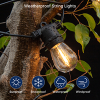 Ampoules LED à filament S14 étanches pour extérieur, 120V, équivalent 5 watts, 1W, 50lm, 2200K, culot E26, pour guirlandes lumineuses de jardin et de terrasse